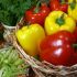 Regim de slabire cu fructe si legume